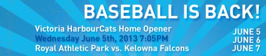 Baseball is Back Banner